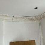 CR 225 Large Victorian Cornice/Coving